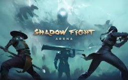 Shadow Fight Arena